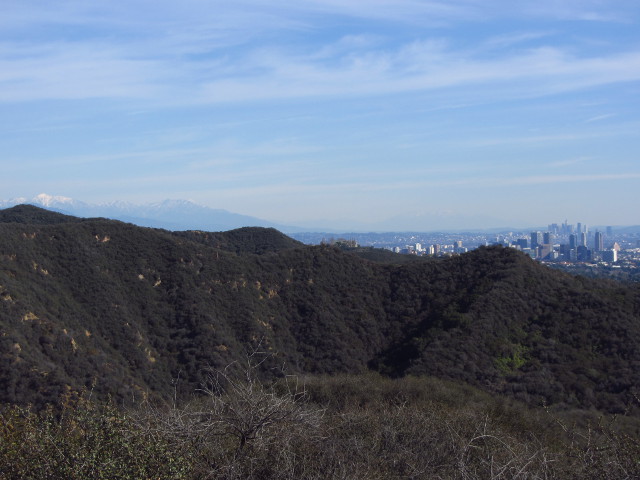 Baldy covered in white and LA city center