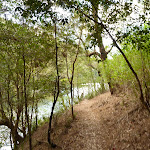 Walking along the edge of one of many bays on Cowan Creek (420109)