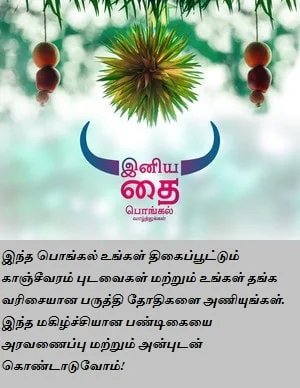 happy-pongal-wishes-in-tamil