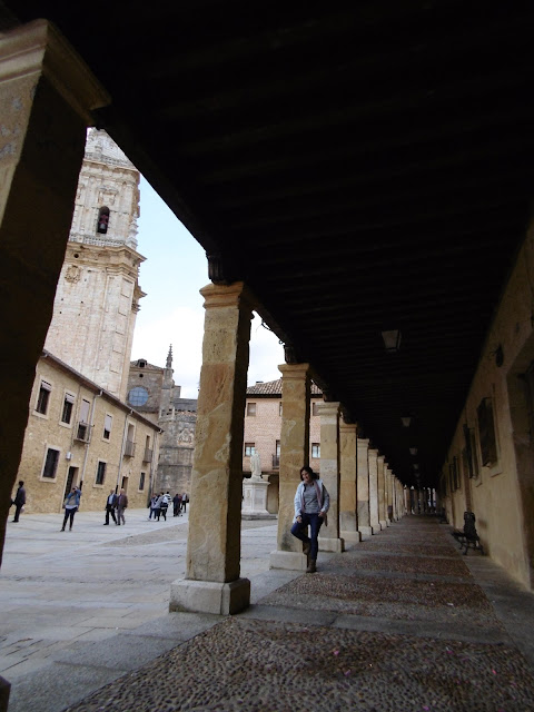 Los colores del otoño por tierras del Duero: Soria y alrededores con niños - Blogs de España - Ruta cultural: San Pedro de Arlanza, El Burgo de Osma y San Baudelio de Berlanga (8)