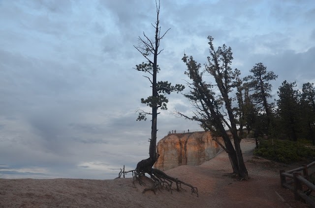 Costa oeste de USA+ Mexico - Blogs de USA - Horseshoebend, Antelope Canyon y llegada a Bryce Canyon (24)