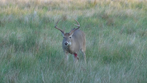 Hunting the Drop Tine Buck thumbnail