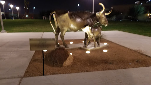 Performing Arts Theater «McAllen Performing Arts Center», reviews and photos, 801 Convention Center boulevard, McAllen, TX 78501, USA