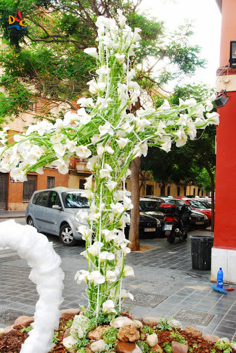 Cruz de Mayo 2015