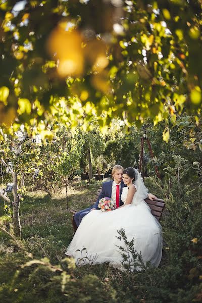 Photographe de mariage Oleg Sidorov (osid). Photo du 14 décembre 2014