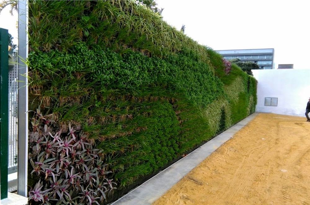 Jardín vertical en Cádiz