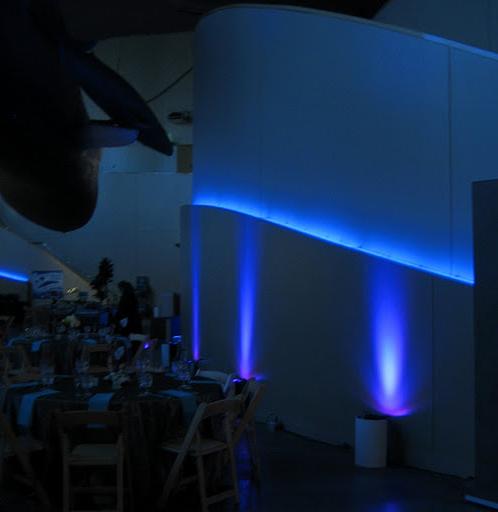 wedding reception lighting