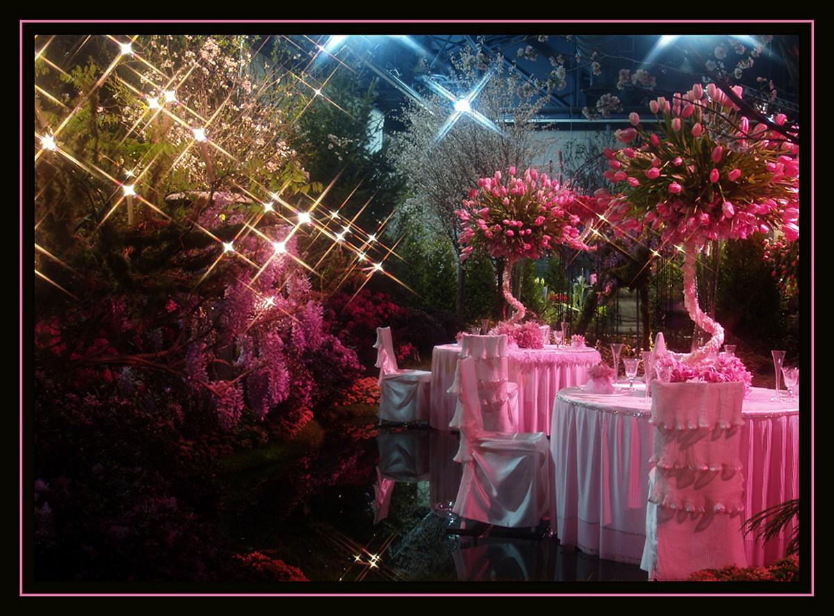 EyeFetch Photography - Pink Wedding by Mike Brint