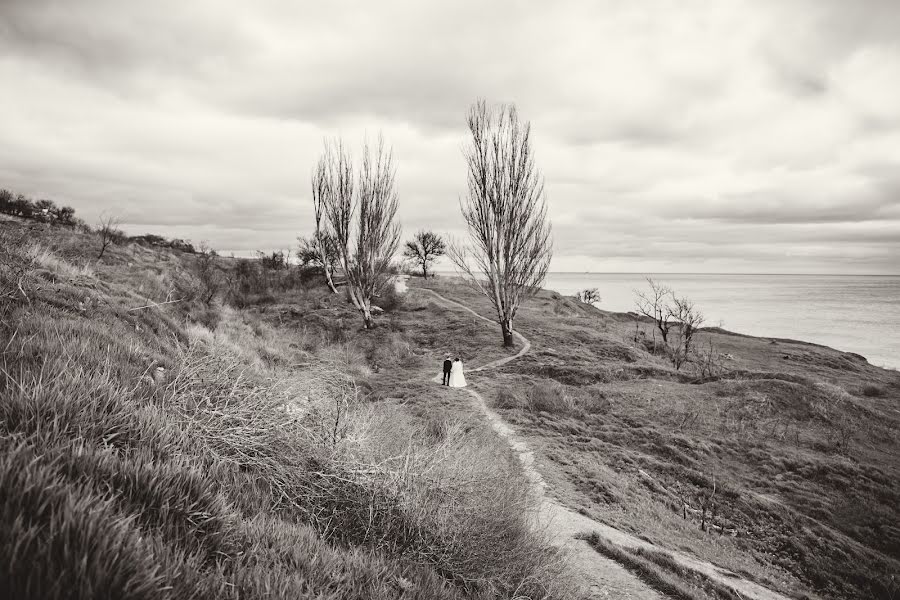 Fotografo di matrimoni Boris Silchenko (silchenko). Foto del 9 aprile 2017