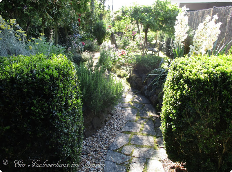 IMG_0528 IMG_0528