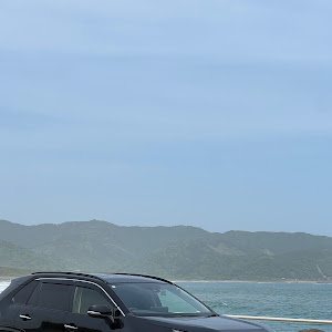 RAV4 AXAH54