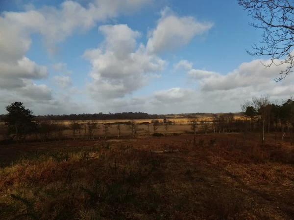 From the top of the hill looking across the marsh