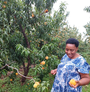 A former teacher and principal, Reverend Mokgobedi Makgethoa Serage, found a new home in agriculture after she retired in 2011.
