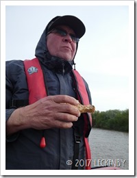 Tidal Trent Toast P1010534sm