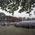 Perayaan Hari Besar Islam 1 Muharram 1437 H