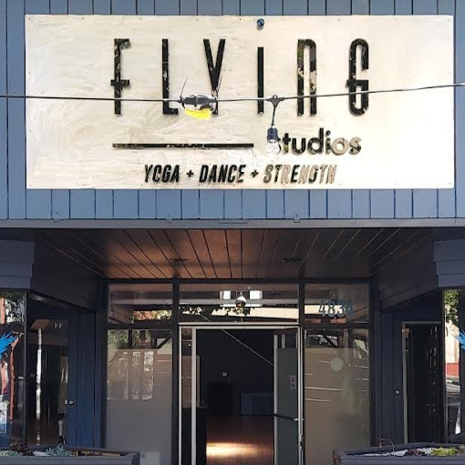 Flying Studios