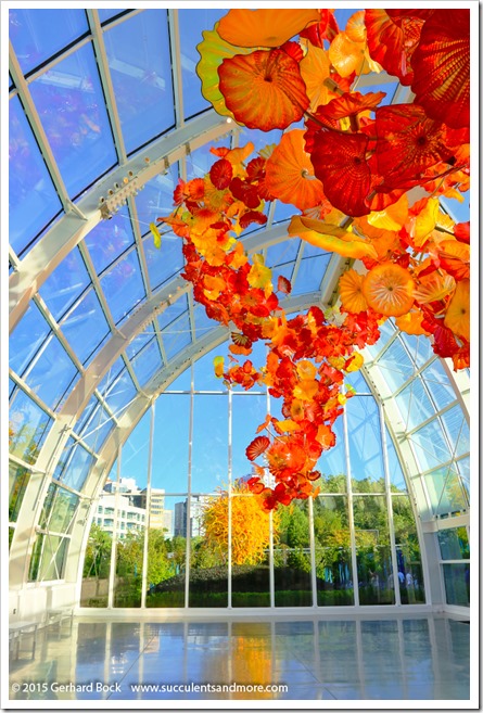 150626_Seattle_ChihulyGardenGlass_0092