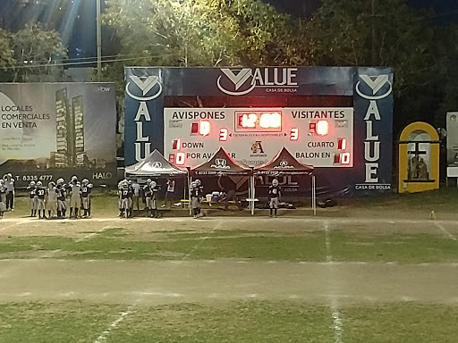 Club Pumas, 1a de Monte Palatino 120, Fuentes del Valle, 66220 San Pedro Garza García, N.L., México, Centro deportivo | NL