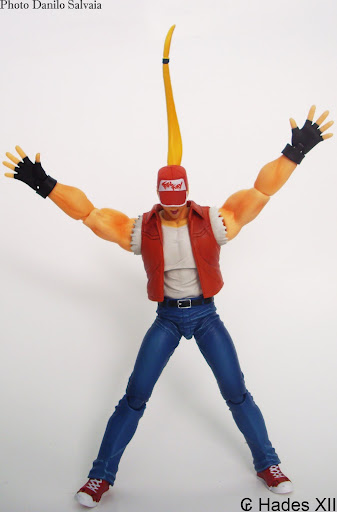 [REVIEW] The King Of Fighters 94 - Terry Bogard D-arts -  by Hades XII DSCI9783