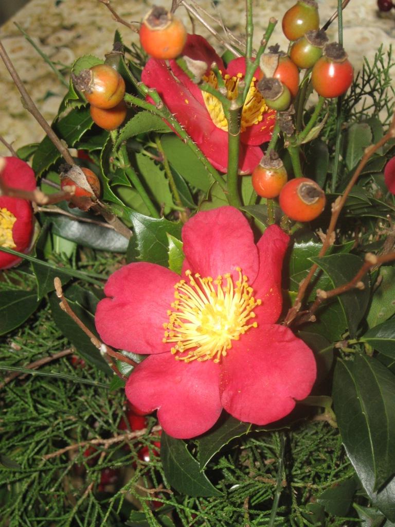 This plant is perfect for December weddings. When the flowers have faded,