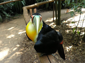 IGUAZÚ LADO BRASILEÑO - ARGENTINA Noviembre 2011 (15)