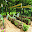 Planting in Hay Bales Download on Windows