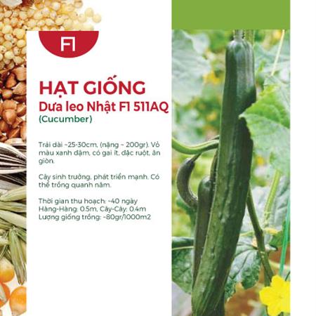 Hạt giống Dưa leo Nhật F1 511AQ