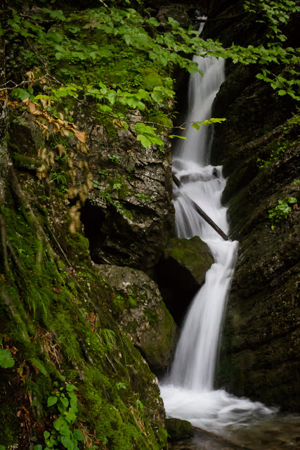 auf dem Weg ins Tal