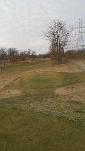 Golf Course «Mines Golf Course», reviews and photos, 330 Covell Ave SW, Walker, MI 49534, USA