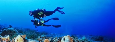 photo of DIVING CENTER KOSTRENA