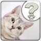 Download What Cat Breed Am I? For PC Windows and Mac 1.0