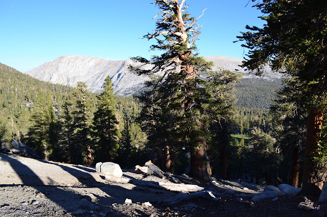 looking down over Rattlesnake Creek