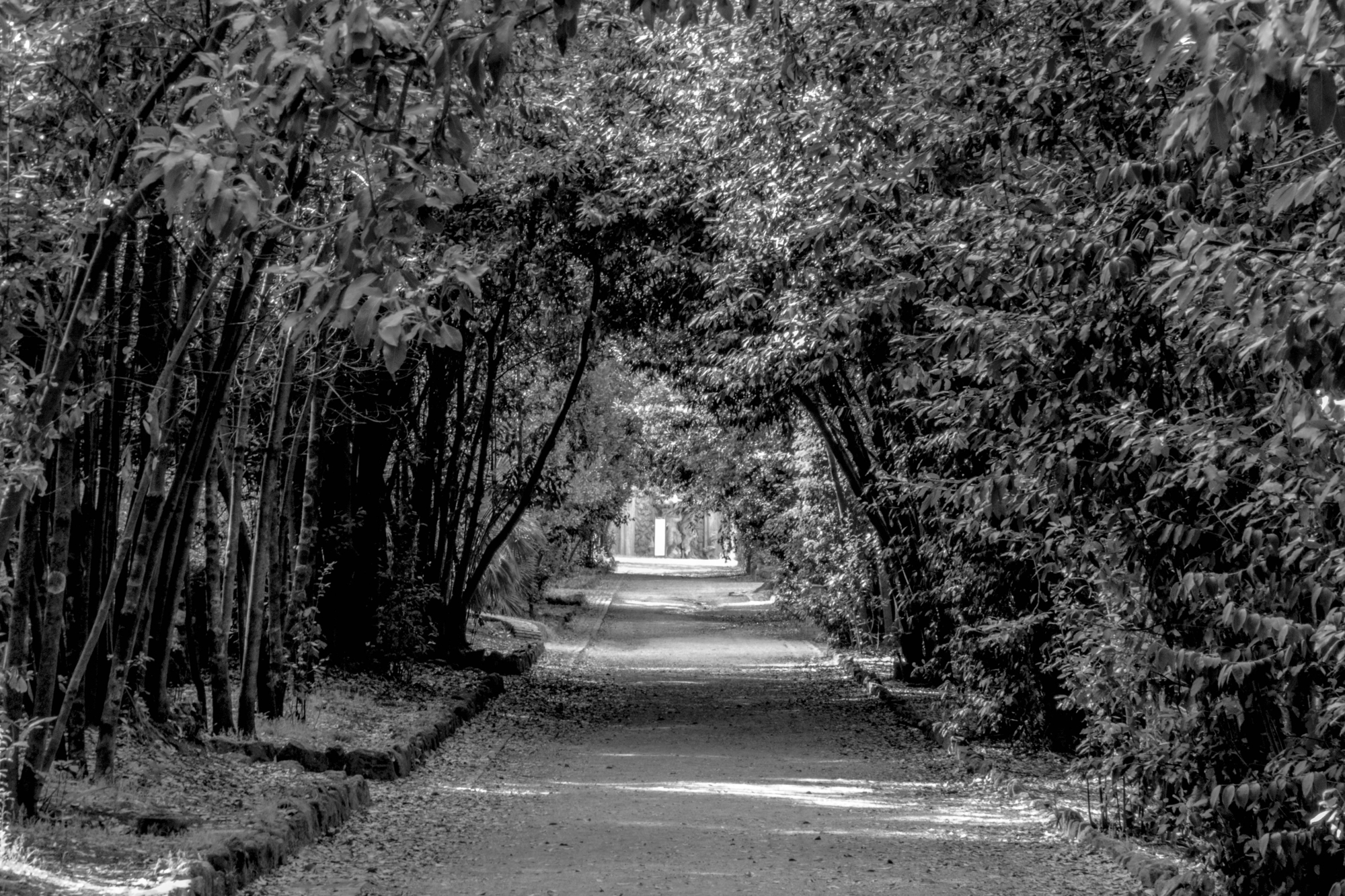 Passaggio per il silenzio di Erader