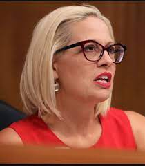 Photos: Krysten Sinema Girlfriend - Who Is She Dating After Husband Blake Dain Divorce?