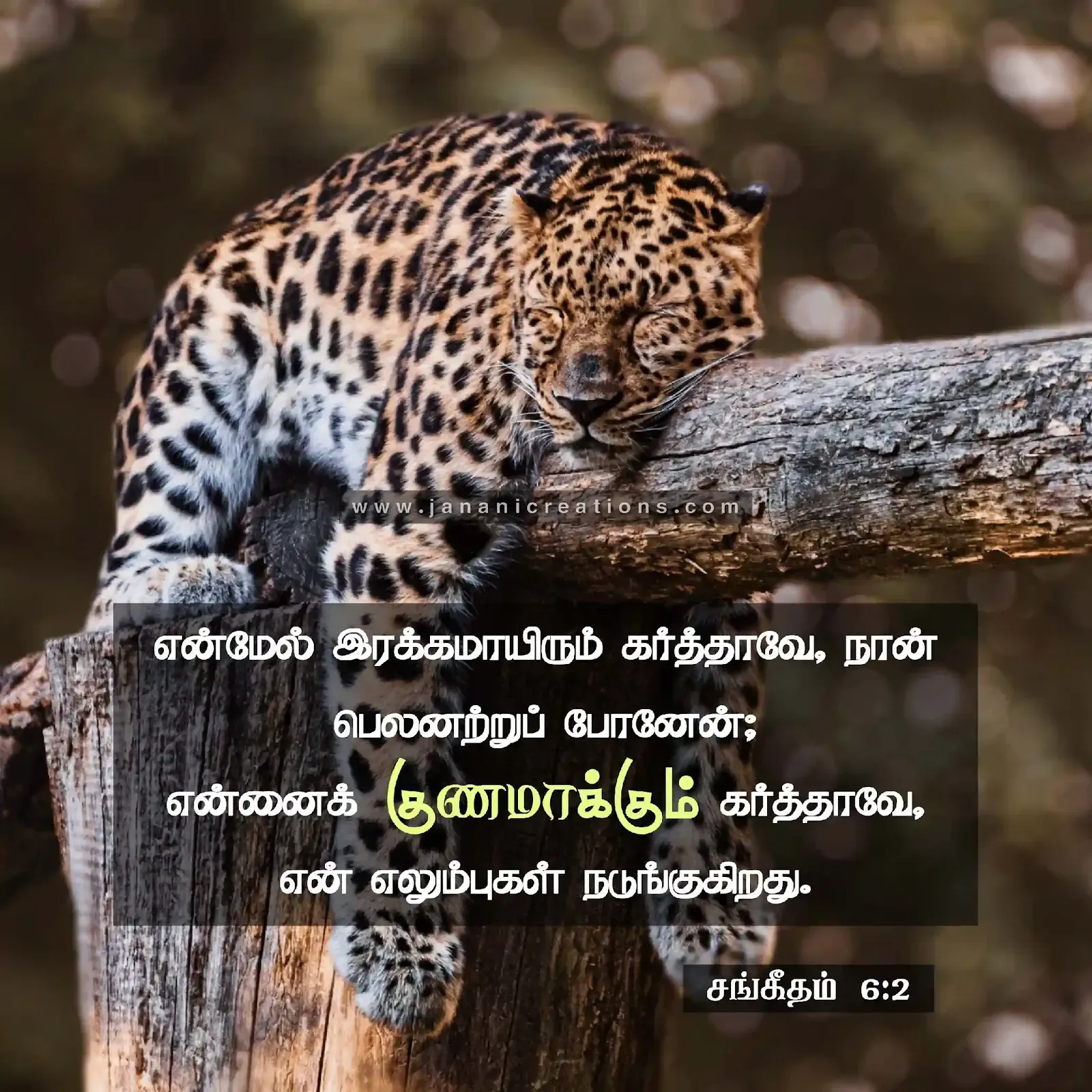 bible verses in tamil language 