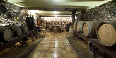 Spain - wine cellar