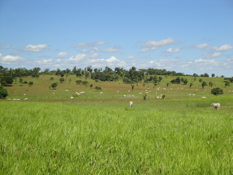 Pai de investigado teria recebido R$ 120 mil de suposto esquema em venda de fazenda em Rosário