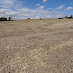 Champ de blé après la moisson