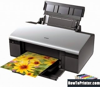 Reset Epson R290 printer by Epson reset program