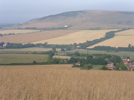 walk 31 On the Downs 