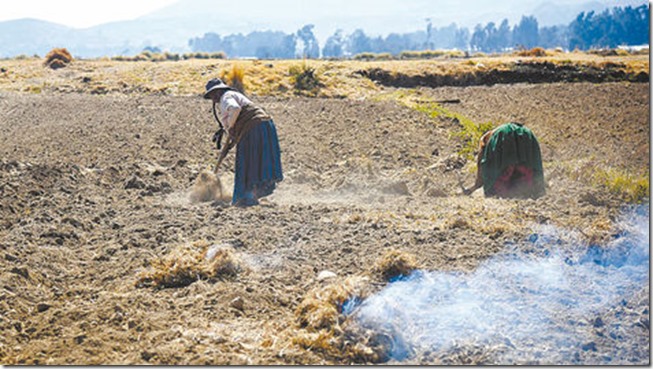 La Paz: La sequía afecta cultivos y pesca de 10 regiones lacustres del Titicaca