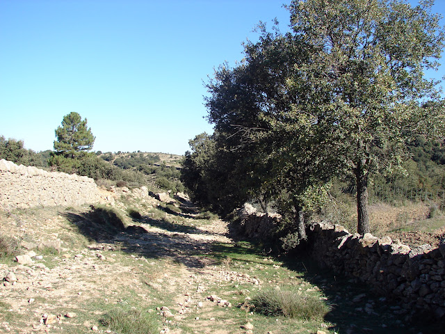 senderismo Castellfort Rambla Sellumbres