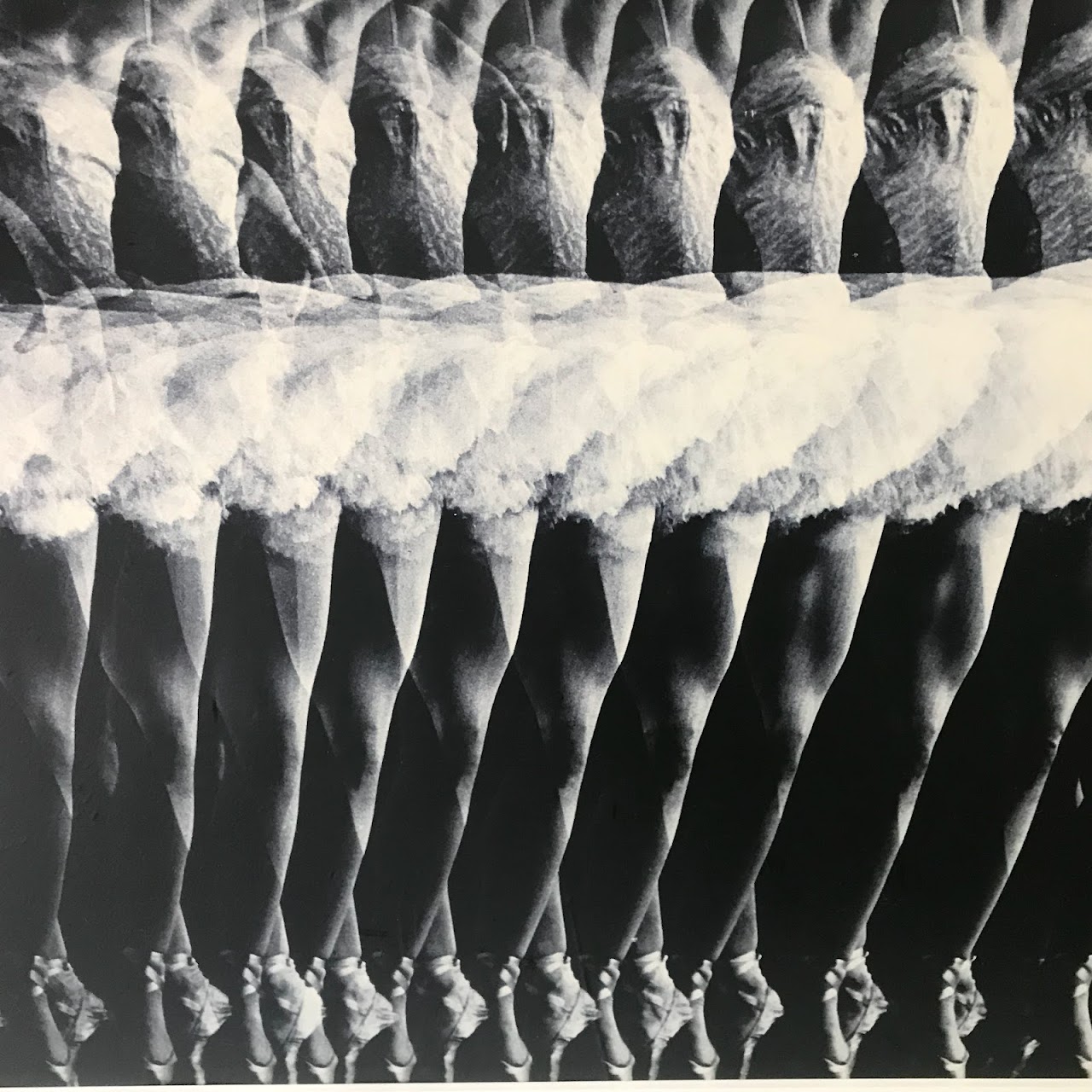 Gjon Mili Stroboscopic Large Scale Dancer Photograph
