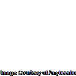 [clip_image003%5B205%5D%5B2%5D]