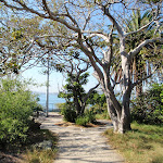 Robertsons Point lookout (259241)