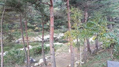 Photos of 왕피천 하늘담 펜션 & 캠핑