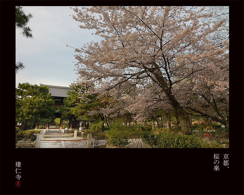 日本 京都 建仁寺