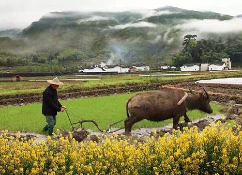 春分  陽曆3月20日或21日