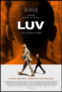 Luv (2013) DVDRip 400MB