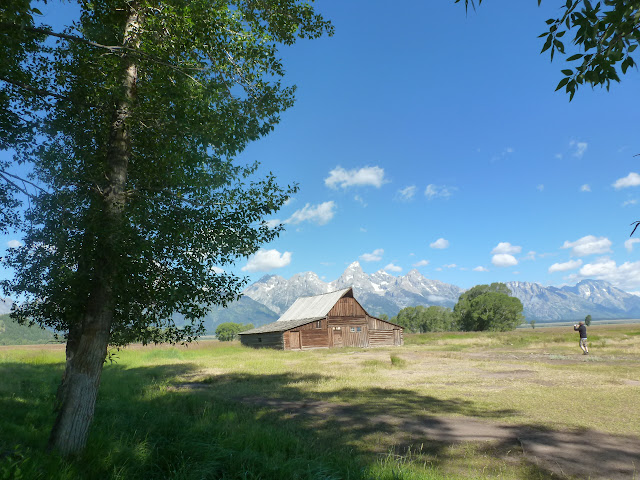 Grand Teton: Mormon Row. Regreso a Calgary y vuelta a casa. 16 y 17 Julio - LAS ROCOSAS DE CANADA. YELLOWSTONE Y GRAND TETON. (11)